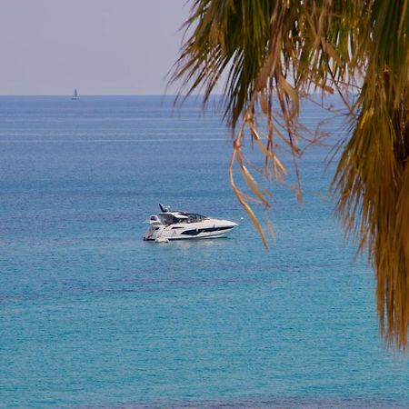 مينتون "Dans Les Toits De La Ville" Plein Centre Et Mer المظهر الخارجي الصورة